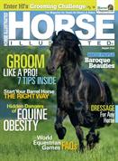Horse Illustrated